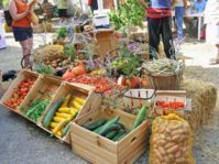 Marchés de Producteurs 2023