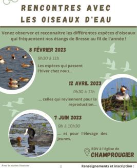 Sorties nature 