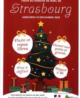 Activité de fin d'année à France Services Chaussin