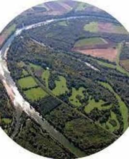 Projet d'arreté de biotope