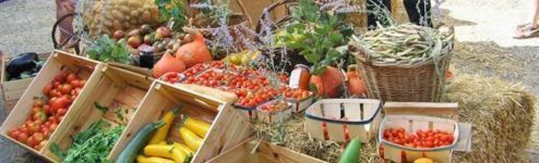 Marchés de Producteurs 2023
